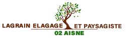 elagage-lagrain-paysagiste